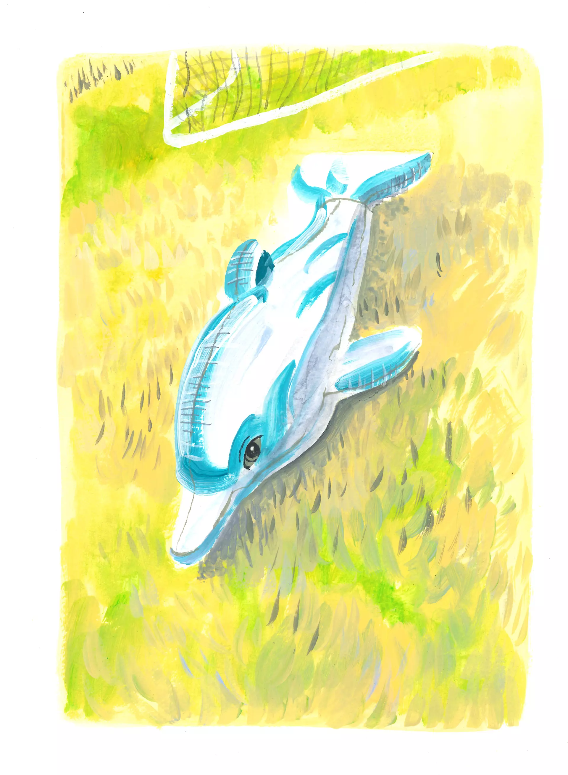 Illustration de Noémie Marsily